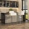 Leisuremod Axis Velvet/Polyester/Leather Bar Stool - Stainless Steel Base, Low Back & Armrests, 2PK ACG29W2 - alternate 3