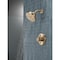 Delta Nicoli Monitor 14 Series Shower Only 142749-CZ - alternate 3