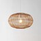 Jonathan Y Leo 17.5" 1-Light Farmhouse Coastal Rattan 180" Cord Plug-In or Hardwired LED Pendant, Brown JYL1402A - alternate 9
