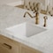 Whitehaus Collection Undermount/Drop-in Fireclay Kitchen Sinks, Stainless Steel Grid Included WHUF2418 - alternate 3