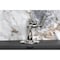 Kingston Brass One-Handle Single-Hole Bathroom Faucet with Deck Plate and Push Pop-Up Drain, Polished Nickel KSD3546TKL - alternate 2