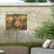 Trademark Fine Art Outdoor Canvas Art David Stribbling Lion at Sunset Wall Art for Patios, or Gardens GRL00419-OC2432WR - alternate 4