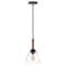 Jonathan Y Alys 7.63" Adjustable Rope-Wrap Modern Rustic Iron/Glass LED Pendant, Black JYL1103A - alternate 3