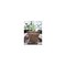 Cowpots Plant Pot Seed Starter 3.75in H X 4in W X 2.5in L Brown 102 - alternate 3