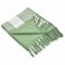 Homeroots 50" X 60" Green Woven Cotton Checkered Throw Blanket with Fringe 516568 - alternate 2