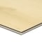 Msi Tranquilla 20MIL Rigid Core Sample Luxury Vinyl Plank Flooring ZOR-LVR-SAM-0216 - alternate 4