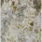 Homeroots 8' X 10' Taupe Ivory And Tan Floral Washable Indoor Outdoor Area Rug 583151 - alternate 4