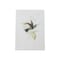 Homeroots Set of Four White Hummingbird Art, 4PK 516350 - alternate 1