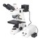 Motic Instruments Usa BA310MET Trinocular Compound Upright Microscope 1100100402045 - alternate 1