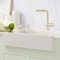 Blanco Linus Pull-Out 1.5 GPM, Satin Gold 526686 - alternate 4