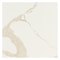 Msi Eden Calacatta 24 x 24 Matte Porcelain Floor and Wall Tile, 4PK ZOR-PT-0714 - alternate 2