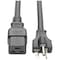 Tripp Lite Power Cord, HD, C19, 5-20P, 20A, 12AWG, 10ft P049-010 - alternate 1