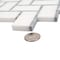 Apollo Tile 10x11 Thassos White, Bardiglio Nuvolato Marble Floor and Wall Mosaic Tile 3.68 sqft/case, 5PK APLDC88H02A - alternate 3