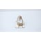 Dresser-Rand PLUNGER UNLOADER 1R35818AP1 - alternate 1