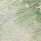 Homeroots 8' Artichoke Green And Ivory Round Abstract Washable Indoor Outdoor Area Rug 605502 - alternate 5