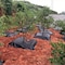Wrightmaster 3.3 ft. W x 3.3 ft. L Light Duty Non-Woven Weed Barrier Fabric with Ground Nail, 5-Pack ZOR-FANGCAOBU - alternate 2