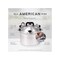 All American 1930 Pressure Canner Cast Aluminum 15.5 qt Silver Silver 915 - alternate 2