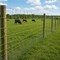 Wrightmaster 48 in. x 164 ft. 14-Gauge Heavy-Duty Hot-Dip Galvanized Poultry Fencing w/High Corrosion Resistance ZoroP503419 - alternate 4