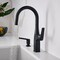 Blanco Rivana Bar 1.5 GPM, Matte Black 443021 - alternate 3