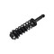 Fcs Struts Suspension Strut And Coil Spring Assembly 1355005 - alternate 4