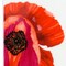 Homeroots Red and White Six Piece Square Floral Bone China Service For Six Salad Plate Set 483516 - alternate 2