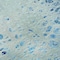 Homeroots 8' Light Blue And Ivory Round Abstract Washable Indoor Outdoor Area Rug 643549 - alternate 5