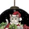 Homeroots Christmas Cat with Presents Hand Painted Mouth Blown Glass Ornament 477533 - alternate 2