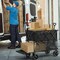 Vevor Collapsible Folding Wagon 400L Beach Wagon Cart Heavy Duty 350 lbs W12 - alternate 4