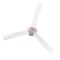 Jonathan Y Levi 52" 1-Light Contemporary Minimalist 6-Speed Iron Height Adjustable Integrated LED Ceiling Fan w JYL9722B - alternate 6