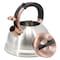 Mr. Coffee Flintshire 2.2 Quart Stainless Steel Whistling Tea Kettle in Silver 143790.01 - alternate 3