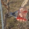 Felco Felco Hand Pruner FELCO 12 - alternate 2