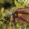 Woodland 6.25'' Heavy Duty Nano-Tip Snip 01-1002-100 - alternate 1