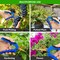 Ipower 6.5in Pruning Shear Hand Pruner with Straight Stainless Steel Scissors for Gardening Potting GLPRNR6BLTI - alternate 3