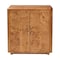 Bali & Pari Valora Modern and Contemporary Natural Mappa Real Burl Wood 2-Door Console Cabinet 249-13927-ZORO - alternate 5