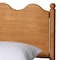 Baxton Studio Malaya Modern Oak Brown Wood Queen Platform Bed with Scalloped Edges 256-14018-ZORO - alternate 5
