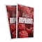 Signmission Fresh Raspberries, Plastic Signs Only 24 Inch x 36 Inch, Corrugated Plastic, 2PK CSB-2436-2PACK-Fresh Raspberries - alternate 1