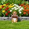 Techko Barkley the Greeting Puppy Solar Outdoor Garden Statue with Integrated LED Light, 8PK SG-822-8PK - alternate 2