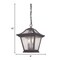 Homeroots Matte Black Birdhouse Shape Outdoor Hanging Light 397979 - alternate 2