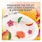 Lysol Clinging Gel Brand New Day Toilet Bowl Cleaner, Mango and Hibiscus, 24 oz Angle-Neck Bottle, 9PK 19200-62018 - alternate 3