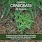 Greenview Fairway 18 Lb. 5000 Sq. ' 24-0-6 Spring Fertilizer Weed & Feed & Crabgrass Preventer 2129172 - alternate 3