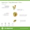 Symmons Identity HydroMersion Single Handle Tub and Shower Faucet Trim Kit  - 1.5 GPM (Valve Not Included) 6792BBZ15TRM - alternate 3