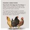 Kent Home Fresh Extra Egg Layer Free Range 40 Lb. Pellet Feed 3686 - alternate 2
