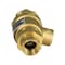 Everflow FIP Backflow Preventer Valve for Hydronic Heating Applications 1/2" 190T012 - alternate 2