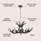 Jonathan Y Eldora 30" 5-Light Rustic Farmhouse Adjustable Resin Antler LED Chandelier, Black JYL6300C - alternate 5