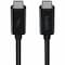 Belkin Thunderbolt Cable3.ft24 Pin Usb Type C to 24 Pin Usb Type C B2B147-1M-BLK - alternate 2
