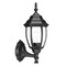 Homeroots Matte Black Globe Lantern Wall Light 398564 - alternate 2