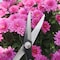 Zenport Deluxe Garden Scissors, 6.5-Inch ZS105 - alternate 3