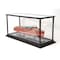 Homeroots 14in X 37.5in X 15in Display Case For Speed Boat 364367 - alternate 2