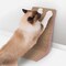 Smartykat Scratch Ladder Angled Corrugate Cat Scratcher with Catnip Infusion Technology 09706-99987-006 - alternate 2