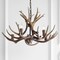 Jonathan Y Eldora 30" 5-Light Rustic Farmhouse Adjustable Resin Antler LED Chandelier, Brown JYL6300A - alternate 4